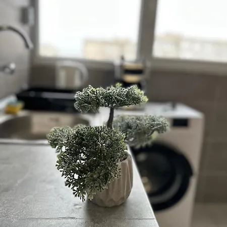 The Orchid, By Lmg 아파트