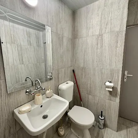 The Orchid, By Lmg 소피아