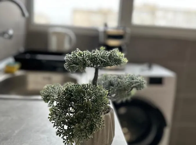 The Orchid, By Lmg Apartament