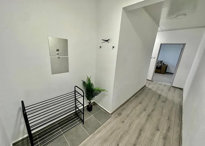 The Orchid, By Lmg *